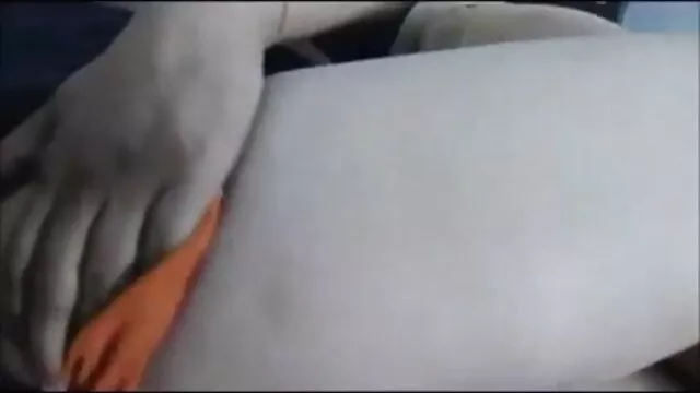 ब्राज़ीलियन बीआईजी बट गधा सेक्सी हिंदी फुल हिंदी पाला और फार्टिंग - नेग्रोफ्लोरिपा