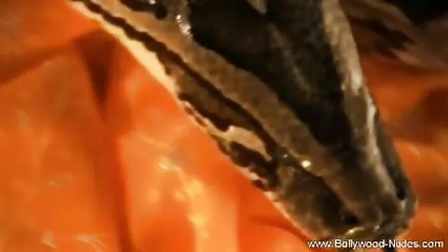 बूढ़ा यूरो आदमी छोटा हिंदी फुल सेक्सी मूवी है