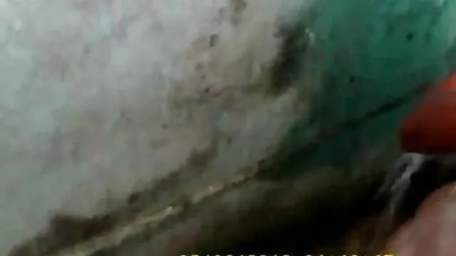 हॉट परिपक्व सेक्सी पिक्चर मूवी फुल एचडी उड़ा
