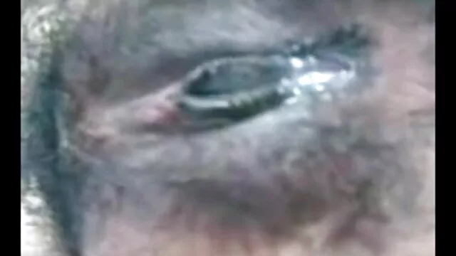 कैला तरसती एचडी सेक्सी फिल्म फुल है और एक आदमी