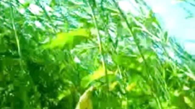 गोरा वेश्या हिंदी सेक्सी फुल