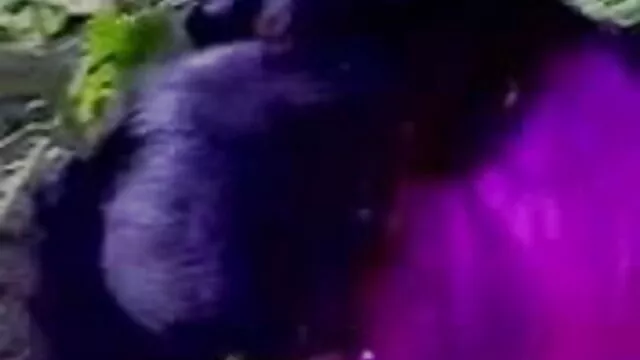 मेरे सेक्सी हिंदी फुल हिंदी बड़े डीडी titties जॉय के लिए अपने मुर्गा स्ट्रोक