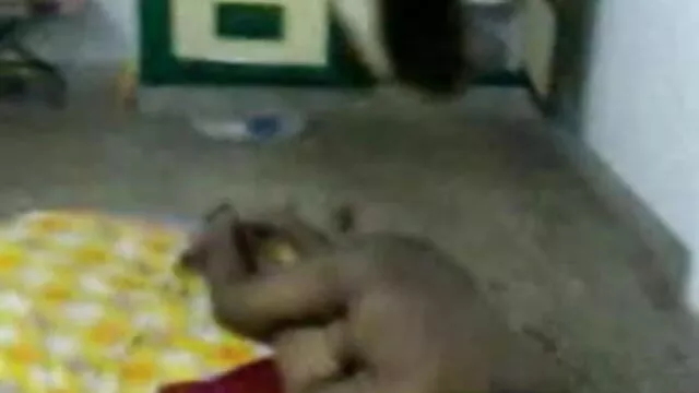 लेस्बियन सेक्स फुल सेक्सी मूवी वीडियो में 528